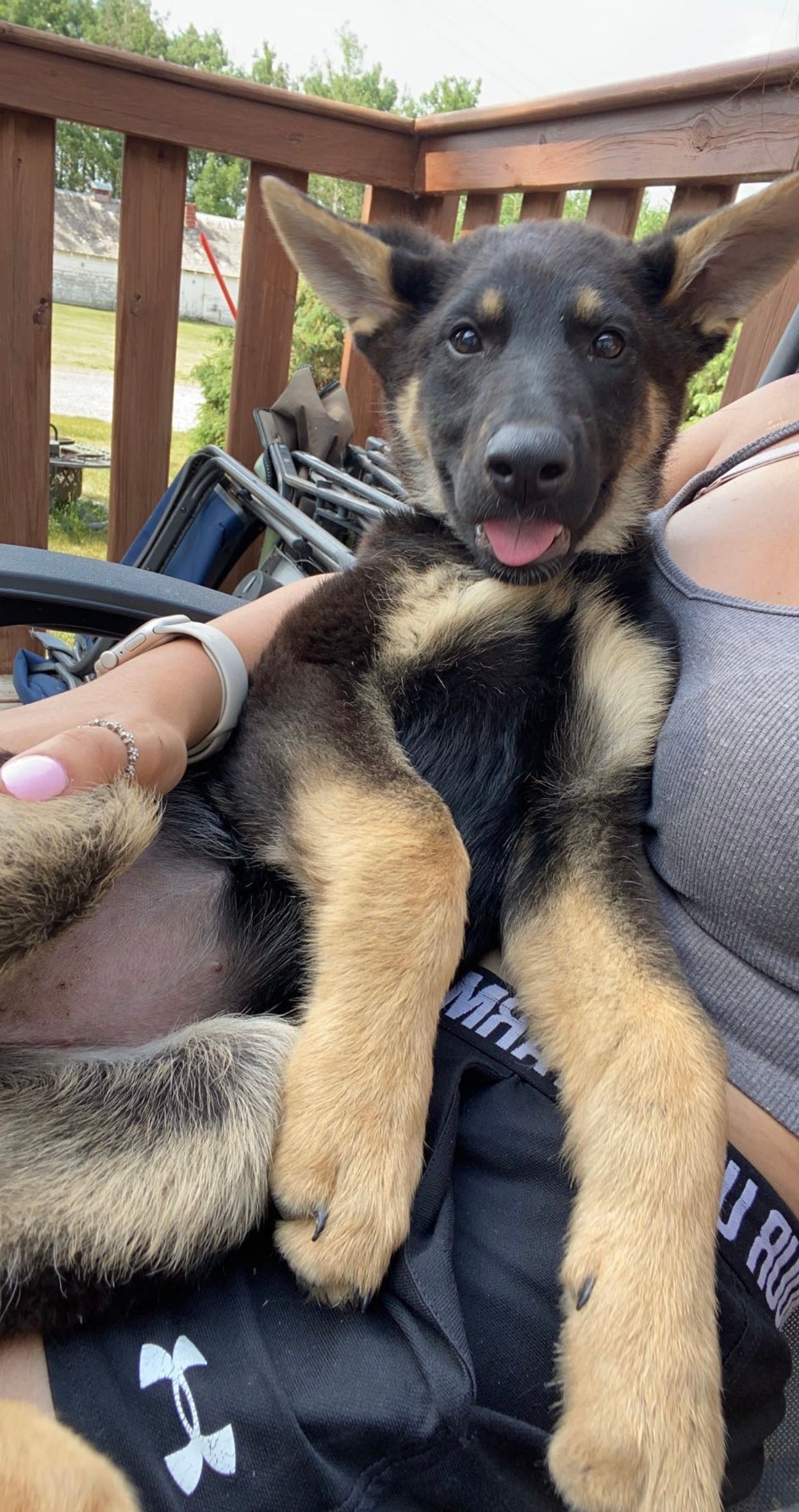 Rosie
