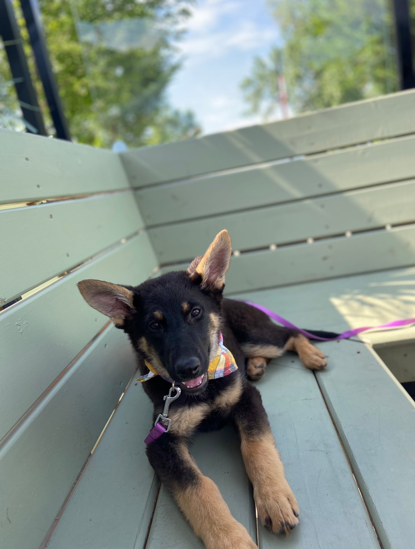 Rosie